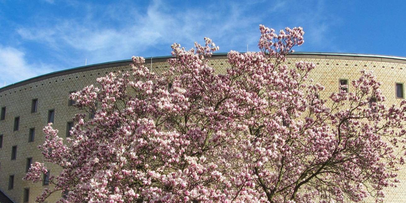 Katholisch in Duisdorf