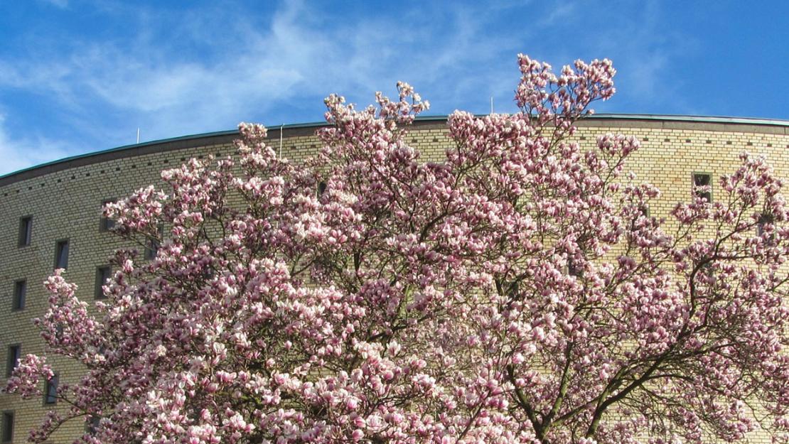 Katholisch in Duisdorf